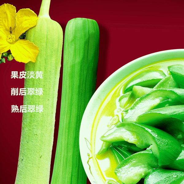 絲瓜種子嫩棒1號(hào)