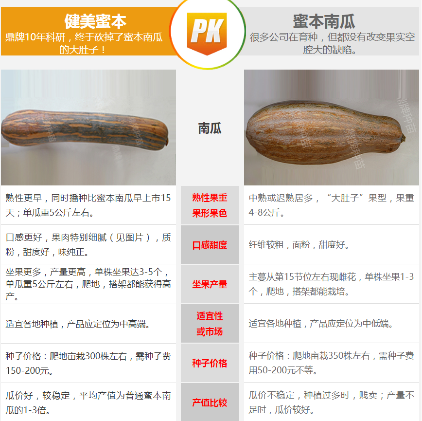 生吃都好吃南瓜新品種，沒(méi)有大肚子，肉質(zhì)更密致，農(nóng)戶試種下