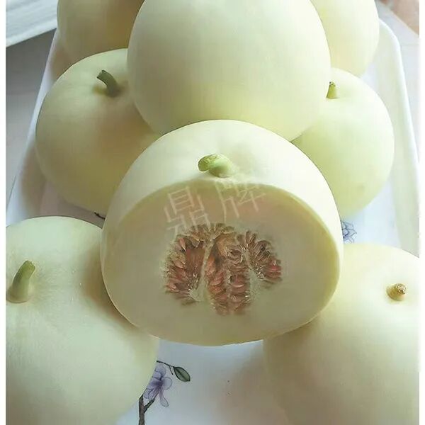 蔬菜種子種植戶種植心得-這個品種幫我留一些，4月份我們當?shù)剡€要種一批